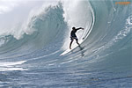 Late Drop at the Banzai Pipeline....