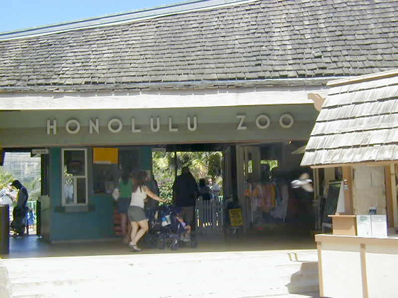 ホノルル動物園が3ヶ月ぶりに再開