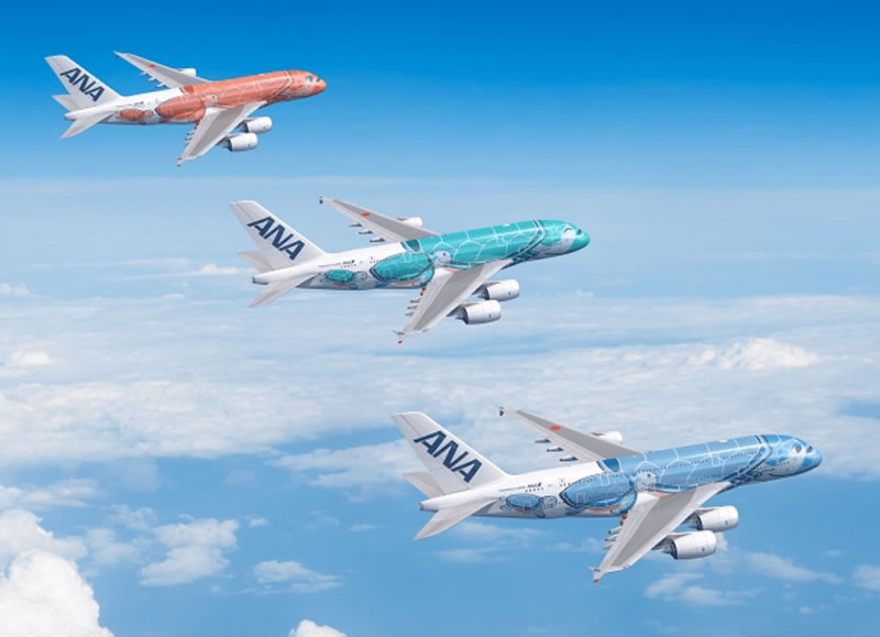 エアバスA380型機「FLYING HONU」/(C)全日空