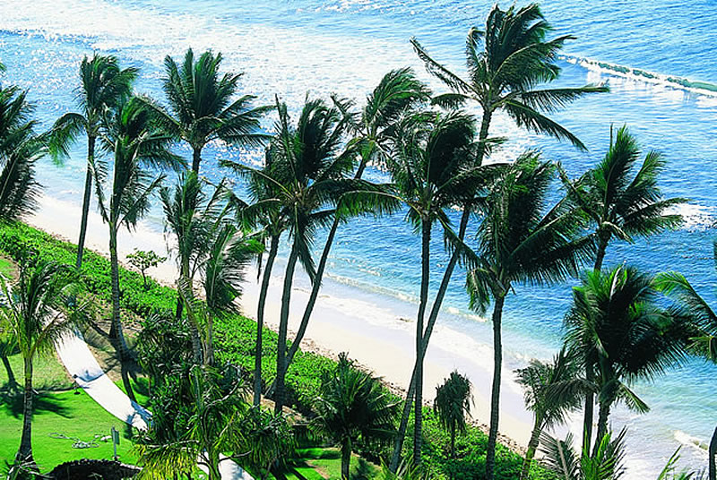 ハワイ、旅行者が急増で住民の不安が高まる