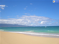 In the Paradise World (風景) In the Paradise World (風景)