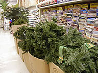 �c���[�f�R���[�V����