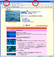 SSL�ŕی삳�ꂽ�I�����C���\��