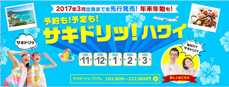JAL�p�b�N�̃T�L�h���b�I�n���C