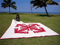 Hilo Beauty